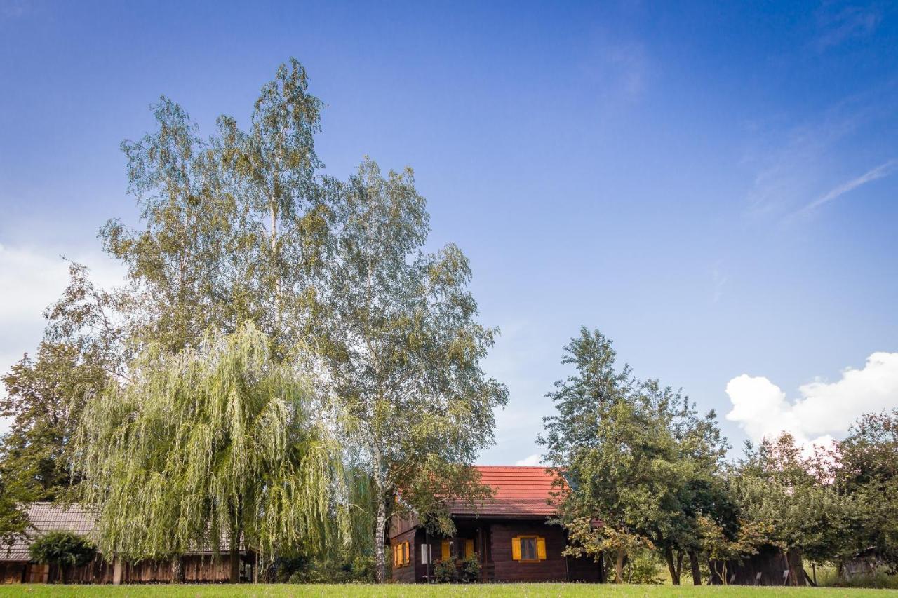 Kuca Za Odmor Cindric Villa Slunj Buitenkant foto